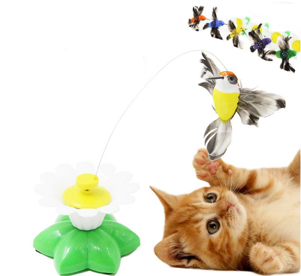 Interactief speelgoed voor katten
