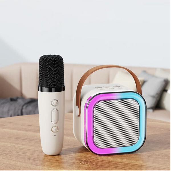 2024 Mini karaoke machine met draadloze microfoons