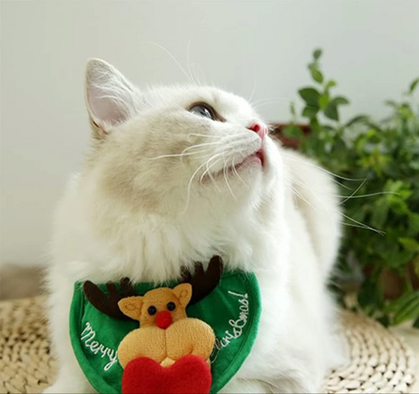 Schattige kerstboom Pom-Pom muts
