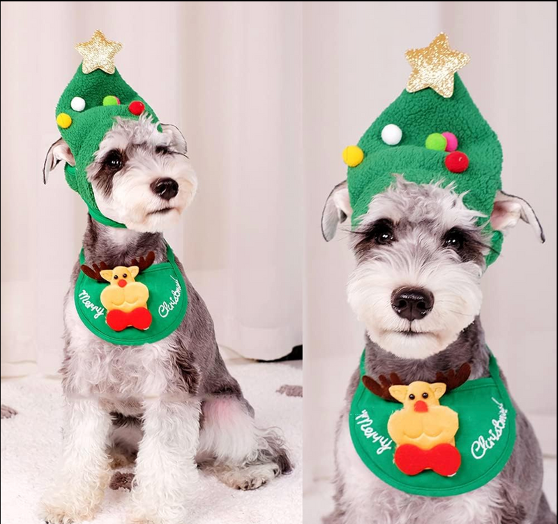 Schattige kerstboom Pom-Pom muts