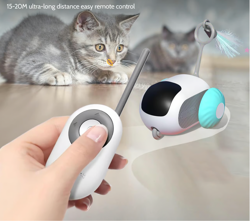 2025 Nieuw Automatisch kattenspeelgoed