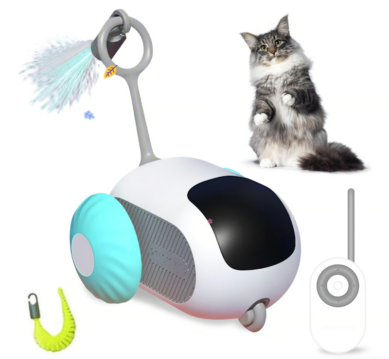 2025 Nieuw Automatisch kattenspeelgoed