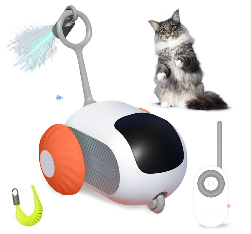 2025 Nieuw Automatisch kattenspeelgoed