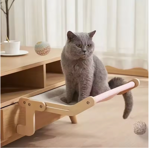 Hangmat Kat